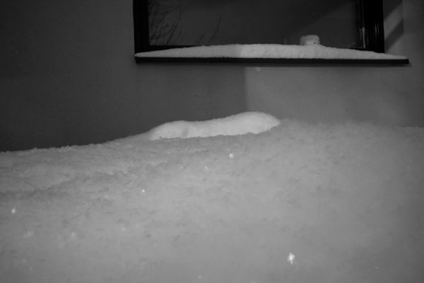395 :: Snow gliss